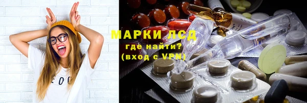 spice Богданович