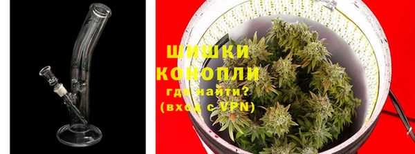 spice Богданович