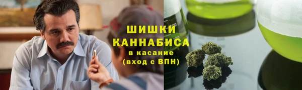 спайс Богородск