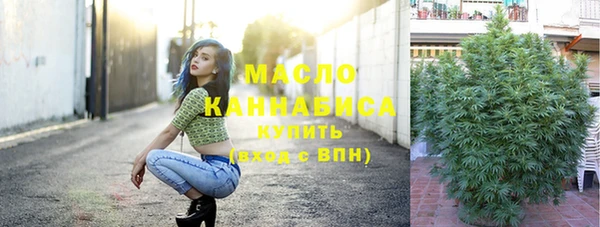spice Богданович