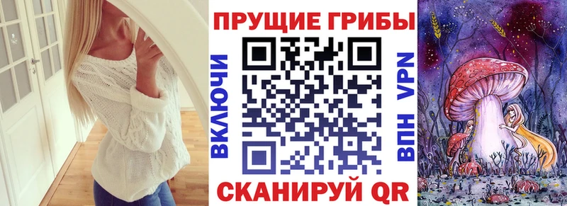 Псилоцибиновые грибы мицелий  Купить закладки  Невель 